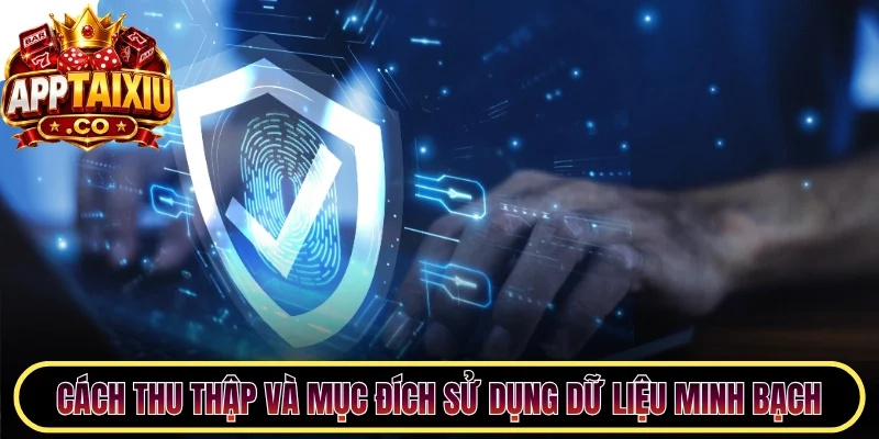 Cách thu thập và mục đích sử dụng dữ liệu minh bạch